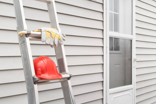Shed Removal in Paradise Valley, AZ